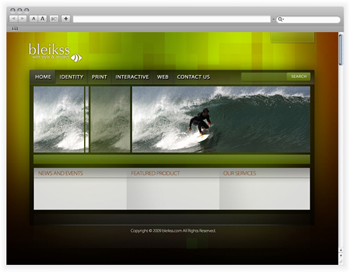 Another version of bleikss.com